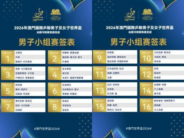 世界杯男单抽签：王楚钦之外无人有把握小组出线
