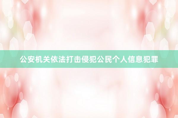 公安机关依法打击侵犯公民个人信息犯罪