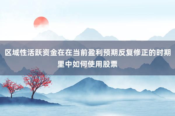 区域性活跃资金在在当前盈利预期反复修正的时期里中如何使用股票