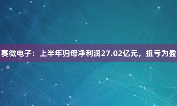 赛微电子：上半年归母净利润27.02亿元，扭亏为盈