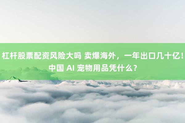 杠杆股票配资风险大吗 卖爆海外，一年出口几十亿！中国 AI 宠物用品凭什么？