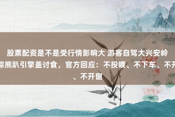 股票配资是不是受行情影响大 游客自驾大兴安岭遇棕熊趴引擎盖讨食，官方回应：不投喂、不下车、不开窗