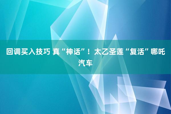 回调买入技巧 真“神话”！太乙圣莲“复活”哪吒汽车