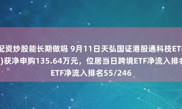 配资炒股能长期做吗 9月11日天弘国证港股通科技ETF(159128)获净申购135.64万元，位居当日跨境ETF净流入排名55/246