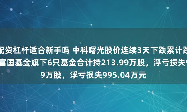 配资杠杆适合新手吗 中科曙光股价连续3天下跌累计跌幅5.49%，富国基金旗下6只基金合计持213.99万股，浮亏损失995.04万元