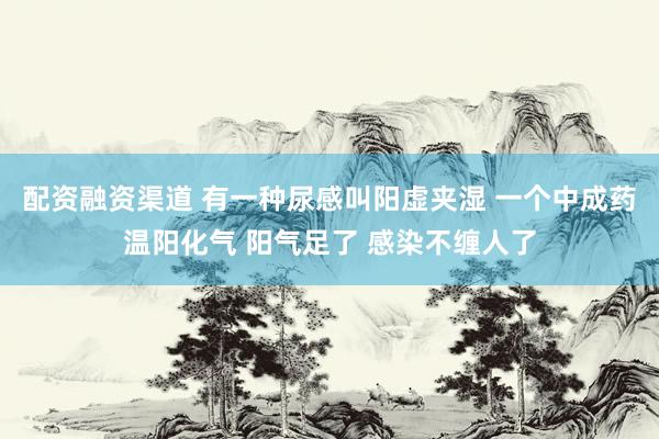 配资融资渠道 有一种尿感叫阳虚夹湿 一个中成药温阳化气 阳气足了 感染不缠人了